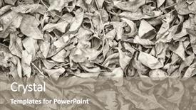  Presentation with fall leaves border - Theme with view black and white platinum background and a gray colored foreground