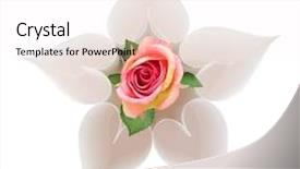  Presentation with hearts - Cool new PPT theme with view from above of floral form made up of paper hearts with rose in its centre backdrop and a white colored foreground