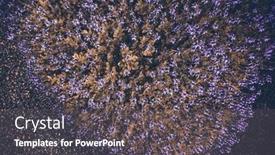  Presentation with purple floral - Cool new PPT theme with view-from-above backdrop and a gray colored foreground