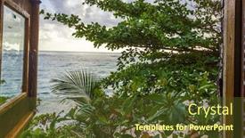  Presentation with jamaica - Beautiful slide set featuring view-from-window-of-wooden backdrop and a tawny brown colored foreground