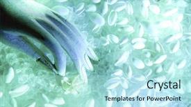  Presentation with sea shell - Presentation having view image of a hand background and a arctic colored foreground