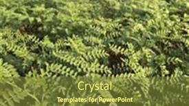  Presentation with farmland - Slide deck consisting of view-of-a-agricultural-field background and a tawny brown colored foreground