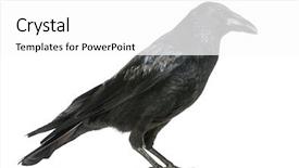  Presentation with crow - Slide deck having tractor with trailers background and a light gray colored foreground