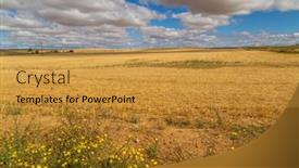  Presentation with crop - Slide deck enhanced with view-of-a-crop-field background and a gold colored foreground