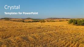  Presentation with crop - Presentation design enhanced with view-of-a-crop-field background and a  colored foreground