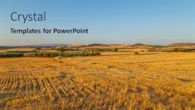  Presentation with crop - PPT theme with view-of-a-crop-field background and a light blue colored foreground