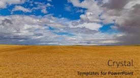  Presentation with crop - PPT theme consisting of view-of-a-crop-field background and a gold colored foreground