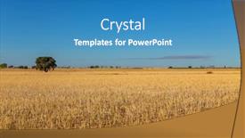  Presentation with crop - PPT theme consisting of view-of-a-crop-field background and a teal colored foreground