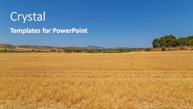  Presentation with crop - Presentation theme enhanced with view-of-a-crop-field background and a teal colored foreground