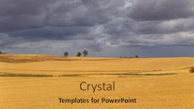  Presentation with crop - Presentation theme consisting of view-of-a-crop-field background and a gold colored foreground