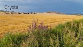  Presentation with crop - Slides featuring view-of-a-crop-field background and a light blue colored foreground