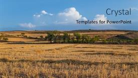  Presentation with crop - PPT theme consisting of view-of-a-crop-field background and a light blue colored foreground
