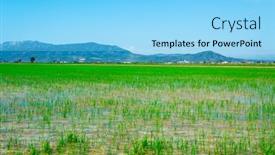  Presentation with paddy field - Amazing presentation design having view-of-a-flooded-paddy backdrop and a light blue colored foreground