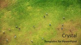  Presentation with small group top view - Slide set featuring view of a football ground background and a gold colored foreground