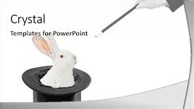  Presentation with rabbit - Presentation theme enhanced with view of a rabbit background and a white colored foreground