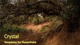  Presentation with landscape - Slide deck enhanced with view of an african landscape background and a  colored foreground