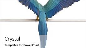  Presentation with flapping - Colorful PPT layouts enhanced with view of blue and yellow backdrop and a white colored foreground