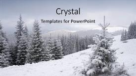  Presentation with snow tree cicular - Beautiful PPT theme featuring view of christmas tree backdrop and a light blue colored foreground