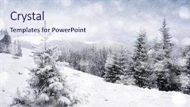  Presentation with snow tree cicular - Beautiful theme featuring cast die - road accident concept showing two backdrop and a light gray colored foreground