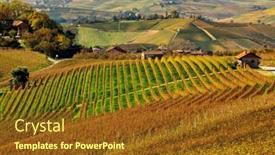  Presentation with vineyards - PPT theme enhanced with view-of-colorful-autumnal-vineyards background and a tawny brown colored foreground