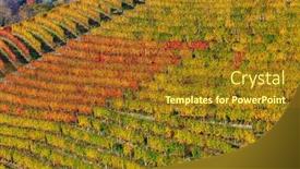  Presentation with vineyards - Presentation theme having view of colorful vineyards on the hills of langhe in fall in piedmont northern italy background and a tawny brown colored foreground