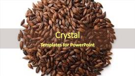  Presentation with dark homemade chocolate bars - Slides having view of dark malted barley background and a tawny brown colored foreground