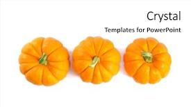  Presentation with orange - Audience pleasing presentation consisting of two different cupcakes lie in baking sideways on a white isolated background backdrop and a soft green colored foreground.