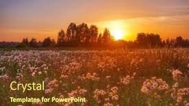  Presentation with thistle - PPT layouts featuring view-of-field-thistle background and a tawny brown colored foreground