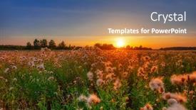  Presentation with thistle - Slide deck with view-of-field-thistle background and a ocean colored foreground