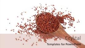  Presentation with finger millet - Presentation design consisting of view-of-finger-millet background and a coral colored foreground
