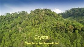  Presentation with rainforest - Audience pleasing presentation theme consisting of view of forest trees canopy backdrop and a tawny brown colored foreground