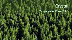  Presentation with forrest - Amazing presentation having view of forrest of green backdrop and a tawny brown colored foreground