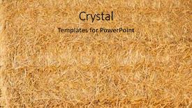  Presentation with straw - Audience pleasing PPT theme consisting of view of golden straw background backdrop and a yellow colored foreground