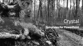  Presentation with zone - Amazing presentation design having view of la fageda de en jorda a forest of beech trees in the garrotxa volcanic zone natural park in olot spain in black and white backdrop and a dark gray colored foreground