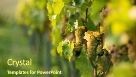  Presentation with light green - Beautiful slide deck featuring view of light green cluster backdrop and a tawny brown colored foreground