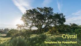  Presentation with oak tree - Cool new presentation with view of native california oak backdrop and a tawny brown colored foreground