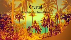  Presentation with coconut - Presentation theme having view of nice tropical background with coconut palms thailand background and a gold colored foreground