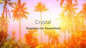  Presentation with filter - PPT layouts featuring view of nice tropical background with coconut palms samui thailand vintage filter background and a blonde colored foreground