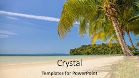  Presentation with tropical top view summer botanical - Cool new slides with view of nice tropical beach backdrop and a lemonade colored foreground