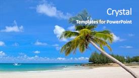  Presentation with palm beach - Slides having sandy beach with some palm background and a teal colored foreground