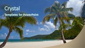  Presentation with palm beach - PPT layouts with view of nice tropical empty sandy beach with some palm background and a ocean colored foreground