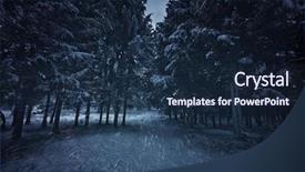  Presentation with snowflakes - Presentation theme featuring view of night park background and a navy blue colored foreground