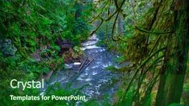  Presentation with old growth - Cool new slides with fern stump - view of old growth rain backdrop and a forest green colored foreground