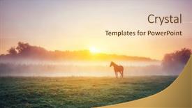  Presentation with pasture - PPT theme enhanced with view of pasture with arabian background and a lemonade colored foreground