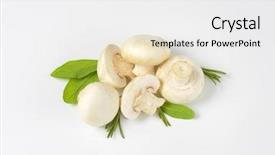  Presentation with pure white - Presentation design enhanced with view of pure white mushroom background and a white colored foreground