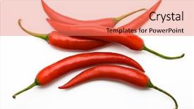  Presentation with red chilli - Beautiful presentation theme featuring view of red hot chilli backdrop and a coral colored foreground