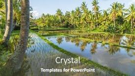  Presentation with rice fields - Colorful slide set enhanced with view of rice fields detail in bali indonesia asia backdrop and a tawny brown colored foreground