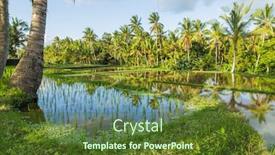  Presentation with rice fields - PPT layouts featuring view of rice fields detail in bali indonesia asia background and a tawny brown colored foreground
