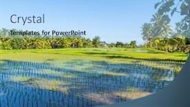  Presentation with rice fields - Slide set with view-of-rice-fields-detail background and a light blue colored foreground