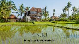  Presentation with rice fields - Slide set consisting of view-of-rice-fields-detail background and a seafoam green colored foreground